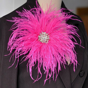 Broches Art <span class=keywords><strong>D</strong></span>éco en Strass Vente en Gros Épingles pour Femmes Vêtements Écharpe Robe Chapeau Chapeaux <span class=keywords><strong>Plume</strong></span> <span class=keywords><strong>d</strong></span>'<span class=keywords><strong>autruche</strong></span> Broche Fleur du Sein - Product Image 2
