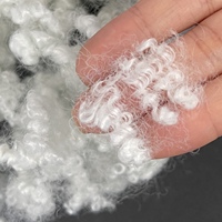 Fibre creuse conjuguée 100 % polyester de qualité supérieure, 23D 64mm, non-silicone, antibactérienne, pour rembourrage de coussins