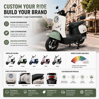 Scooter Eléctrico de Dos Ruedas con Batería de Plomo-Ácido, 350W 48V, Largo Alcance, Motocicleta Eléctrica Económica, Bicicleta Eléctrica Urbana