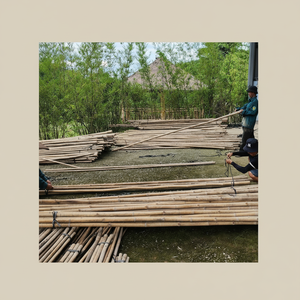 Pequeñas estacas de jardín de bambú ecológicas para sistemas de cultivo vertical hechas de materias primas - Product Image 1