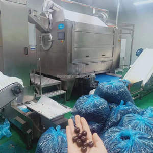 Zucchero spalmatrice di amido modellato caramelle di gelatina e deposito stampo gummies pasticceria levigatrice zucchero - Product Image 2