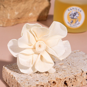 Fragranza ecologica per la casa per diffusore di Reed imposta deodoranti per ambienti e deodoranti per la casa - Product Image 4