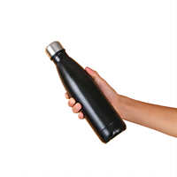 500ML sans BPA peinture de couleur brillante Double paroi vide Cola forme bouteille d'eau isolée pour Camping Gym