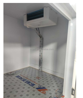 Tricycle frigorifique à moteur thermique avec compresseur Sanyo pour la livraison de produits congelés, économe en énergie