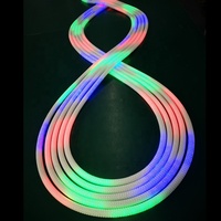 Bande lumineuse LED néon flexible tressée RGBIC adressable à 360 degrés, étanche IP67, avec CRI 90 élevé et fonction dimmable
