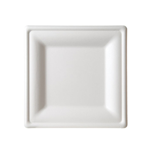 Naturally Healthy Biodegradable Customize <strong>White</strong> Disposable Sugarcane Rectangle <strong>Plate</strong> Bagasse - Product Image 1