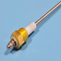 Électrode de contrôle de niveau d'eau en céramique d'alumine, vis G1/2, matériau Kanthal, sonde de niveau de type bougie en céramique, sensoélectrode