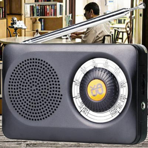 Özelleştirilebilir W-201 radyo/çift bant güçlü sinyal. Klasik radyolar için yeni bir seçim - Product Image 4