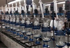 Reattore Chimico in Vetro a Doppia Camicia TOPTION 50L 100L 150L 200L per Riflusso e Distillazione - Product Image 6