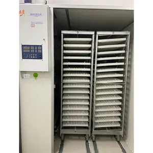 19200 incubatrice per uova di uccelli di alta qualità incubatrice per uova Timer incubatrice per uova completamente automatica