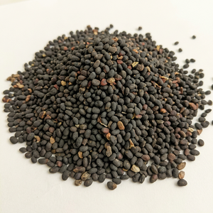 Extracto de Semilla Negra en Polvo, Suplemento Herbal Natural y Orgánico para la Salud y el Bienestar - Product Image 1