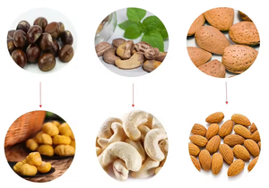 Haselnuss schale entfernen Arecanut Pistazien kerns chäl maschine Walnuss Betelnuss Cashew kastanien schälmaschine - Product Image 6