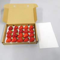 Speciale wegwerp kartonnen doos van stevig karton voor Wa Ren Paper Strawberry Sushi kauwgom aardappelchips express levering offset binnenverpakking