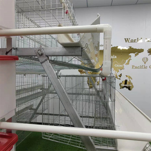 Meilleur <span class=keywords><strong>prix</strong></span> Cage à poulets Poule pondeuse volaille batterie Cage système agricole équipement agricole <span class=keywords><strong>poulailler</strong></span> <span class=keywords><strong>automatique</strong></span> pour poules pondeuses - Product Image 2