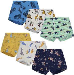 Confezione da 6 Boxer per Bambini, Intimo Maschile alla Moda in Cotone Traspirante - Product Image 1