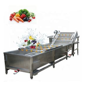 Ligne de production de lavage de prunes/prunier séché/abricot/raisins secs - Product Image 3