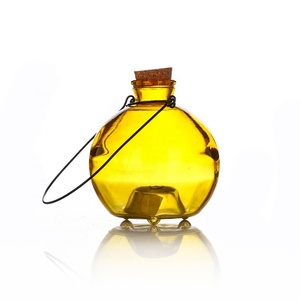 Piège à mouches en <span class=keywords><strong>verre</strong></span> coloré, dispositif durable qui attire les abeilles, avec poignée suspendue, nouveau design 2021 - Product Image 1
