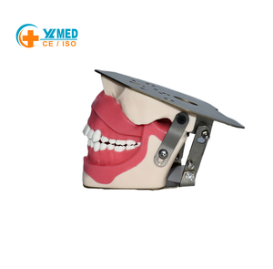 Modelo de Simulación de Anestesia con Alerta Audible para Escuelas y Hospitales - Product Image 4