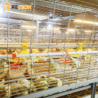 Système d'éclairage LED à économie d'énergie pour les fermes d'élevage d'animaux commerciaux Équipement de cage à poulets de chair