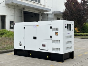 Groupe électrogène silencieux 25 kVA 30 kVA 50 kVA 60 kVA 100 kVA Générateur 20 kW 30 kW 40 kW 50 kW 60 kW 80 kW Prix du groupe électrogène - Product Image 5