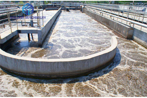 BLX Sản Phẩm Bán Chạy Mới Hệ Thống Định Lượng Clo Tự Động Cho Nước Thải - Product Image 3