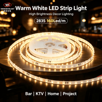 Bande LED flexible haute luminosité DC24V IP20 160 LED/m SMD2835, température de couleur 3000K-6000K, corps en cuivre, éclairage paysager