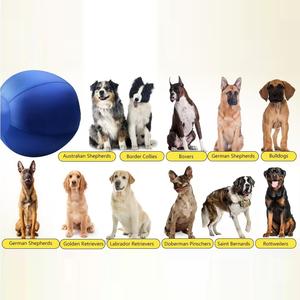 Balle <span class=keywords><strong>de</strong></span> Yoga chevaux décrochage balle <span class=keywords><strong>de</strong></span> troupeau pour animaux <span class=keywords><strong>de</strong></span> compagnie pour chiens <span class=keywords><strong>berger</strong></span> australien jouer jouets pour chiens Yoga <span class=keywords><strong>chien</strong></span> jouet balles jouets interactifs - Product Image 4