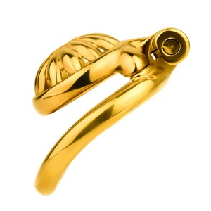 Jaula para Pene FRRK Color Dorado, Dispositivo de Castidad Masculina, Pene Bloqueado en un Diseño Artístico de Flor, Candado de Castidad para Hombres, Juguetes Sexuales - Product Image 4