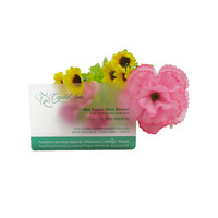 Conception Logo Transparent PVC Cartes de Visite Clair Mat Givré avec Impression Offset Carte Magnétique Pas Cher