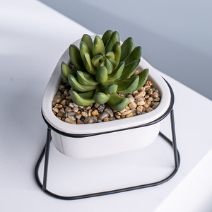 Maceta de dolomita blanca con soporte de Metal y plantas suculentas para macetas - Product Image 4