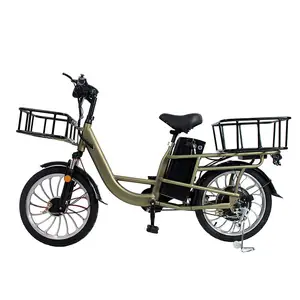 Stahlrahmen 1000w 48V 20ah Elektro fahrrad/18 "Elektro fahrrad E-Bike 45kmh schnelles E-Bike/Cargo Elektro fahrrad 48v 1000w