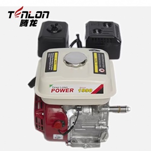 Un moteur OHV de 5,5 CV et 163 cm³ alimente une pompe à eau moyenne pour la saison sèche en Tanzanie, ce qui permet d'économiser 30 % des frais de carburant sur les petites exploitations agricoles. - Product Image 5