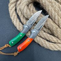 Fabrikant Zakmes VG10 Damascus Staal Ambidextrous Vouwzakmes Survival Fruitmes Draagbaar Kampeermes