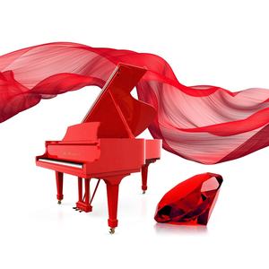 Piano à queue pour bébé avec lecteur de disque à lecture autonome - Product Image 1