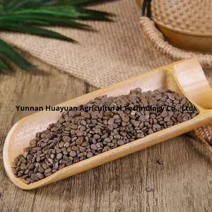 Wangjiangnanzi, gran volumen, venta al por mayor, descuento, semillas de puerta para matar serpientes procesadas secas, Yunnan, espalda fría, especias individuales, hierbas - Product Image 3