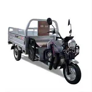 Lubei Vehicle Manufacturer 1.3m/1.5m 800W/1000W/1200W/1500W Electric Motor Electric Cargo Trikes 3 Wheel Electric Cargo Tricycle