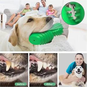 Cepillo de Dientes para Perros, Juguete Masticable de Goma con Forma de Cactus, Regalos de Cumpleaños para Mascotas - Product Image 4