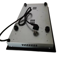 Cuisinière électrique à induction infrarouge personnalisée en usine OEM/ODM avec commande tactile intégrée Cuisinière à 2 plaques