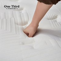 Matelas à ressorts ensachés Queen 25cm de hauteur 5 zones mousse supérieure européenne moderne avec mémoire pour meubles de chambre