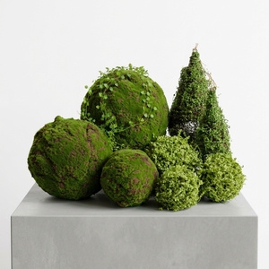 Plante Artificielle en Plastique Verte Suspendue Nouveauté 2026 – Articles de Décoration Intérieure, Grande Décoration Ornamentale pour Abri de Jardin et Mousse - Product Image 1