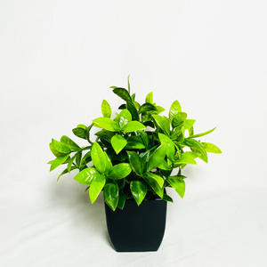 Plantas Artificiales Verdes en Maceta, Decoraciones de Interior y Exterior, Plantas de Plástico, Venta Caliente - Product Image 2