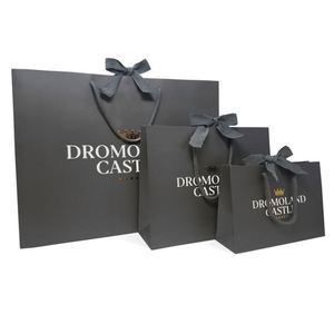 Bolsas de Regalo de Cartón de Lujo Personalizadas con Serigrafía, Diseño de Logotipo Personalizado, Bolsa de Empaque con Asa de Listón - Product Image 1