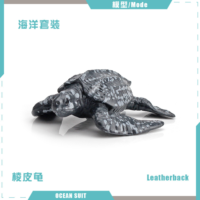 Bl-5055 เต่ากระดองหนัง 5g