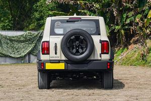 GMW Tank 300 2025 2.0T Challenger SUV, Vehículo GreatWall, SUV Espacioso, Automóvil con Tracción en las Cuatro Ruedas, Automóviles de Gasolina - Product Image 6