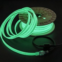 Bande lumineuse LED fluorescente haute tension 230V, 180 LED/m, bande lumineuse qui brille dans le noir, bande LED étanche IP65 pour couloirs et garages