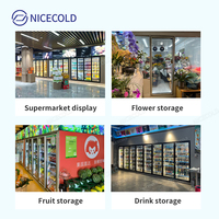 Betrouwbare industriële koelcel met glazen deur, driedubbel glas, walk-in koelkast voor diepvriesproducten en fruit