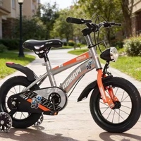 Bicicleta Infantil de Una Velocidad, Embalaje en Caja AB, Horquilla de Acero, Opción Popular para Niños Más Pequeños