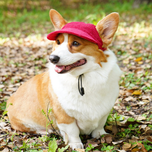 Chongtapet Pet Corduroy Fisherman <b>Hat</b> Adjustable For Dogs And Cats Sun Protection All Seasons Monochrome - Product Image 3