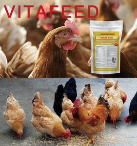 Supplément de vitamines promoteurs de croissance additifs pour l'alimentation des poulets - Product Image 6