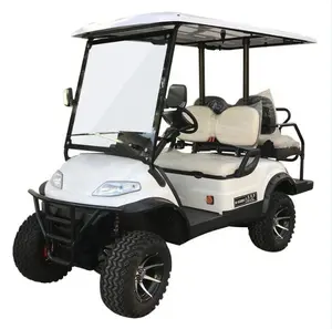 Electric 48v 4Kw 5Kw 4 Seater 6 Seater Lithium Batteries Street Golf Cart Buggy